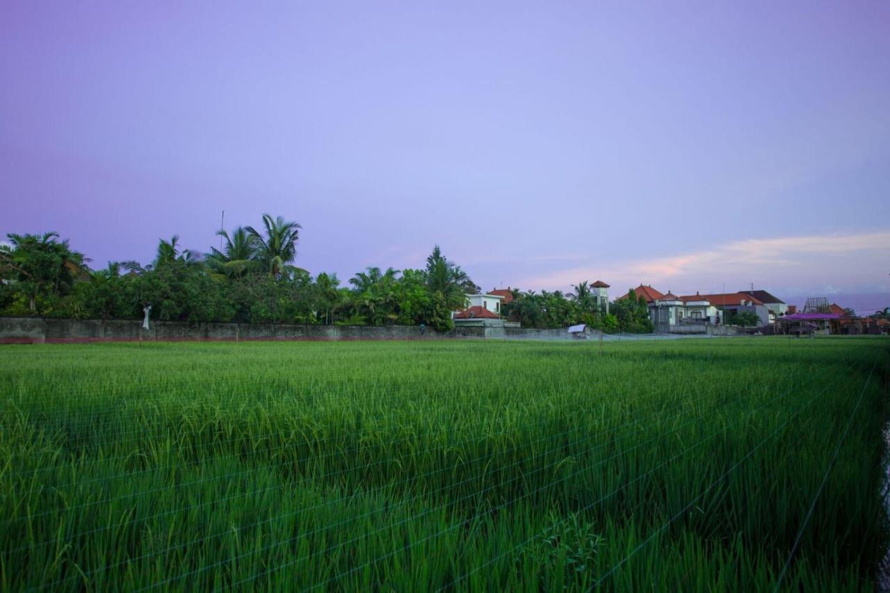 The Awandari Villas Seminyak - Chse Certified المظهر الخارجي الصورة